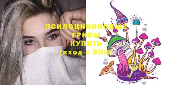 молекула духа Вязники