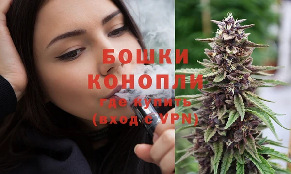 молекула духа Вязники