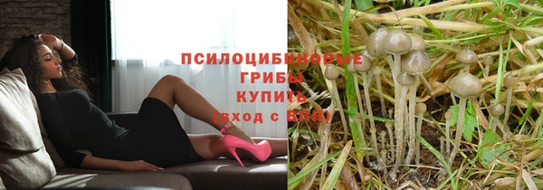 молекула духа Вязники