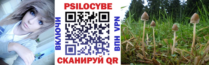 Купить  Лесозаводск  Псилоцибиновые грибы Psilocybine cubensis 