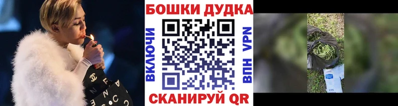 Бошки Шишки SATIVA & INDICA  Купить закладки  Лесозаводск 